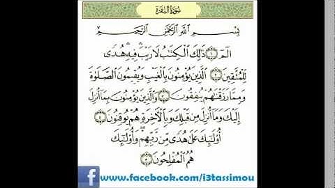 سورة البقرة جزء 16 || بلال المرسني