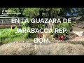 En la guazara de jarabacoa miguel angel dando ctedra de poco miedo y mucho valor