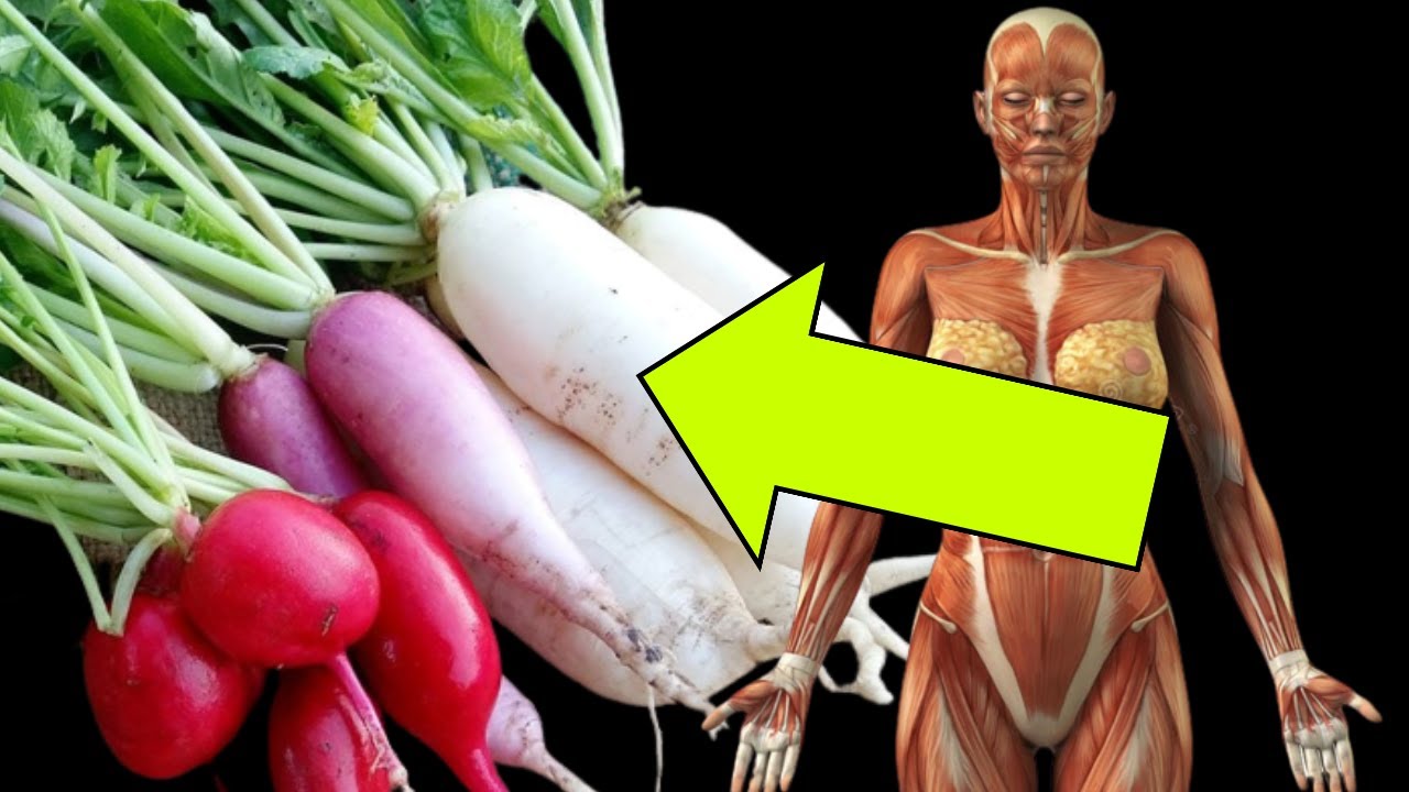 The 21 Best Low Carb Vegetables, Eat As Much As You Want/ Best Low Carb Vegetables