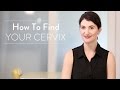 Conception 101: How To Find Your Cervix