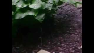 T'storm with hail at 6:50pm May 32, 2012 MOV02394.AVI