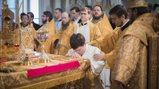 :       / The ordination Alexiy Lukovkin to the Holy Diaconate