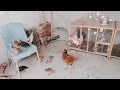 Hum na animals ka leya new big cage banwa leya 😚😚