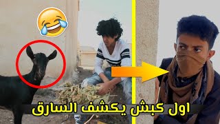 سارق الكبش| الحرام يخرج حرام  لاحول ولا قوة الا بالله...