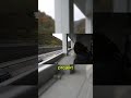 🚄⚡Ten pociąg lewituje i pędzi 603 km/h – Japonia zbudowała potwora przyszłości!