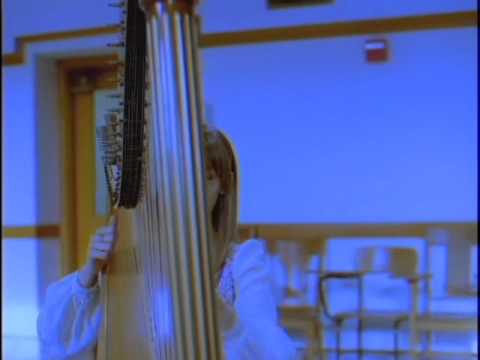 Joanna Newsom "Sprout and The Bean"