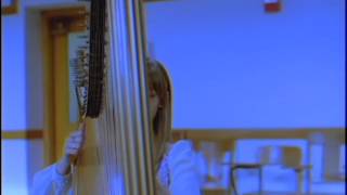 Video thumbnail of "Joanna Newsom "Sprout and The Bean""