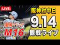 【阪神全力応援ライブ🔴🐯】9/14 阪神タイガース 対 中日ドラゴンズのセ・リーグ公式戦を一緒に観戦するライブ。【プロ野球】