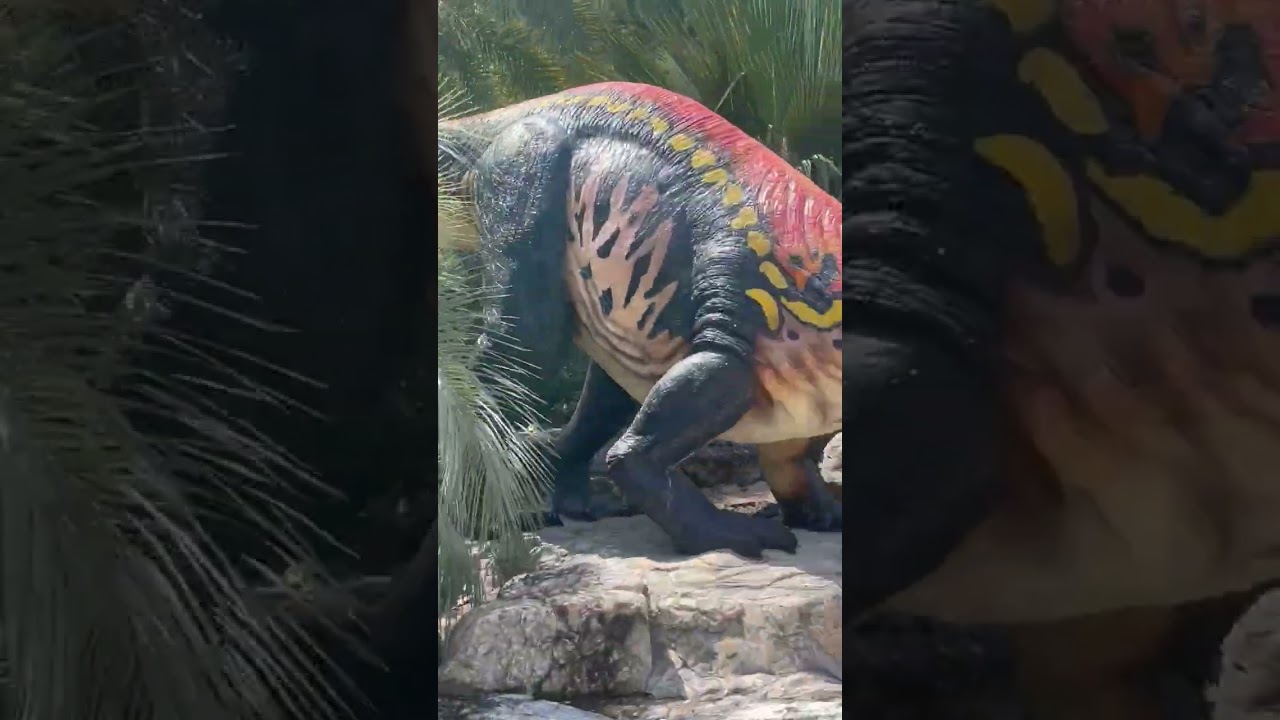 Garden visit # Thailand 