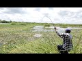 Fish Hunting 🎣🐬 Best Village FISHING Big Rohu fishing Amezing single hook used Catch Mancing Fishing