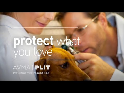 Video: Lees Die AVMA-beleid Vir Rou Vleis - Voeding Nuggets Dog