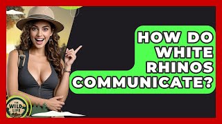 How Do White Rhinos Communicate? - The Wild Life Explorer