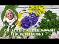 Cueillettes et recettes aux plantes sauvages au fil des saisons