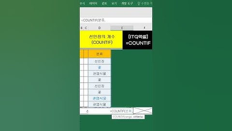 ITQ엑셀  COUNTIF 함수 #excel