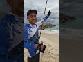 من افضل اسماك البحر الابيض المتوسط Fishing Fishingvideo Fish صيد اكسبلور بحر 