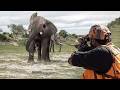 أخطر مواجهات الصيادين مع الأفيال في أفريقيا لحظات تحبس الأنفاس 