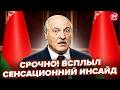 Не поверите, какую жуть ЛУКАШЕНКО ПРОВЕРНУЛ за спиной УКРАИНЫ! Слили СЕНСАЦИОННЫЙ инсайд @osbbelpol