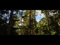 The Twilight Saga: Breaking Dawn Part 2 -- Official Trailer 2012 -- Regal Movies [HD]