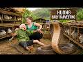 72 Hours Of Terror: Giant Cobra Invades Rabbit Farm And Ambushes A Man | Shocking Rescue Begins!