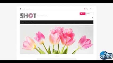Download Visual Content PrestaShop Theme by  Delta TM PrestaShop Themes
