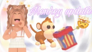 MONKEY UPDATE 🐵