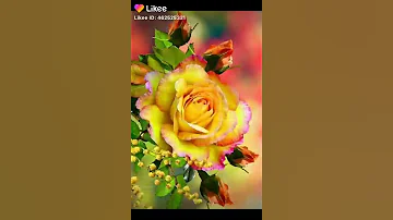انا بعشقك انا عمر 