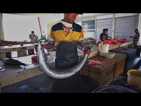 Ono Fillet
