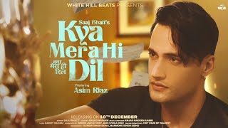 Kya Mera Hi Dil (Saaj Bhatt Song) Asim Riaz_Amjad Nadeem Aamir_Song Link Description 👇👇