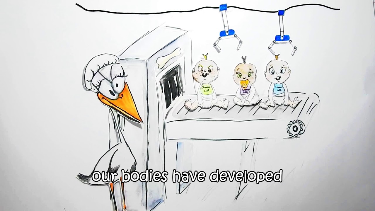 ToleGen Whiteboard video - iGEM Technion 2017