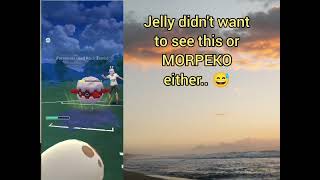 IF THEY CAN CATCH WHY CAN'T WE... 🤯🤯🤯 