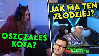 OSZCZAŁEŚ KOTA? | JAK MA TEN ZŁODZIEJ? |😂 POLSKIE SHOTY 😂| FM#656 🔥