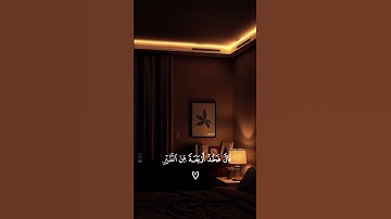 تلاوة خاشعة تريح القلب