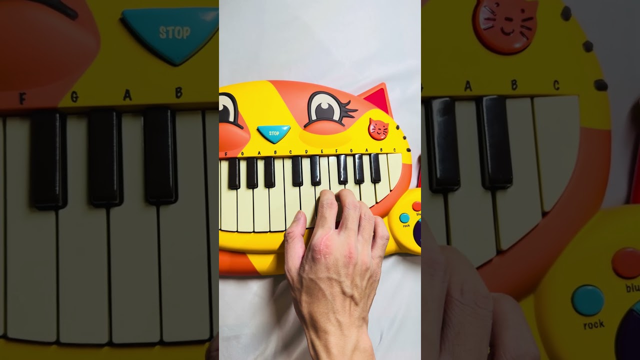 Thiếu niên hoa hồng #catpiano #玫瑰少年