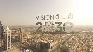2030 vision - رؤية 2030
