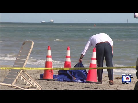 ‘Quite disturbing’: Human head washes ashore on Key Biscayne, police investigating