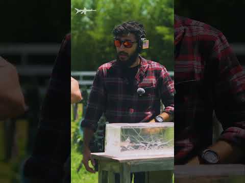 Pilgrim Torch vs Hornady Critical Defense | 9mm Comparison