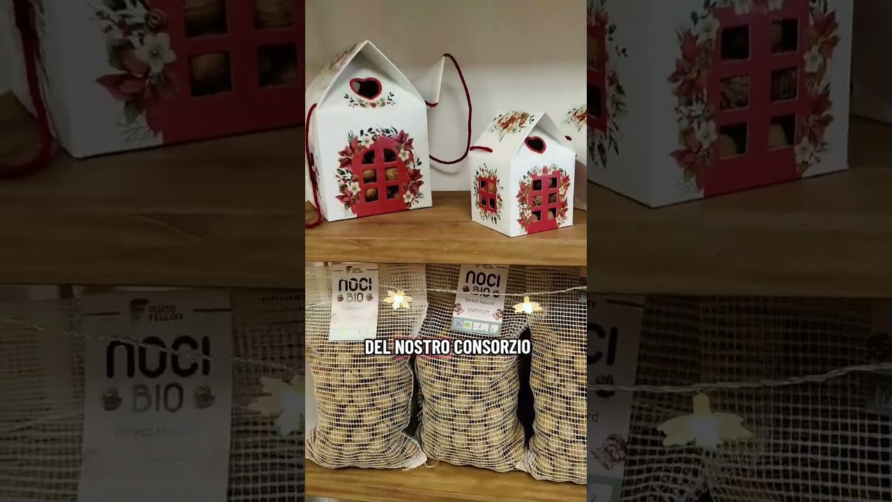 Come si coltivano le NOCI BIO? Viaggio nell'Azienda Porto Felloni