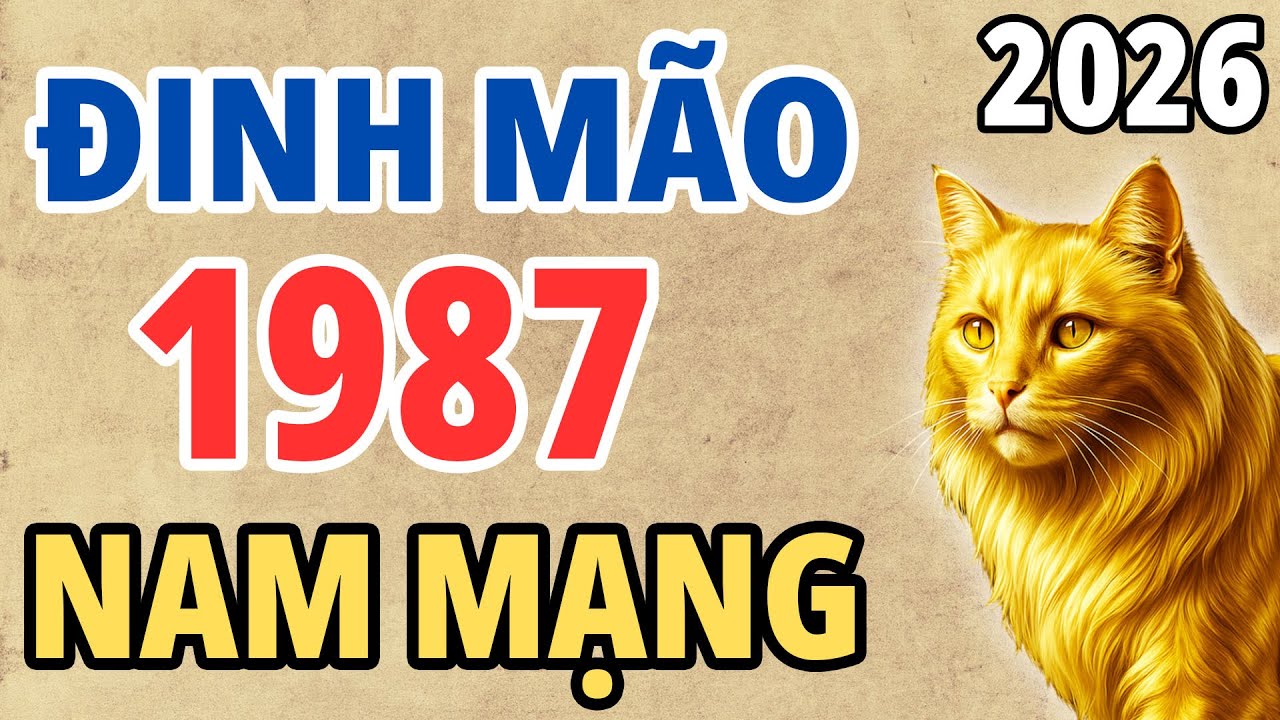 Tử Vi Năm Bính Ngọ 2026 Dành Cho Nam Mạng Tuổi Đinh Mão 1987