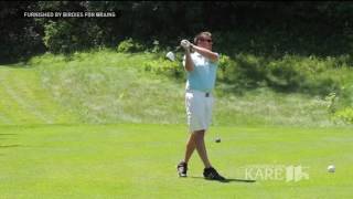 Birdies for Brains