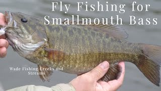 Fly Fishing for Smallmouth Bass in Creeks and Streams