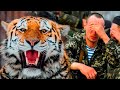 Китайские браконьеры зря недооценивали тигрицу. Она привела солдат прямо в их логово!