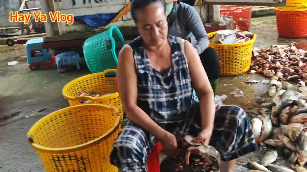 Làng chài Bến Nôm nghề cá ven hồ thuỷ điện Trị An.