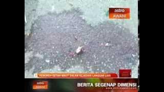 Penoreh getah maut dalam kejadian langgar lari