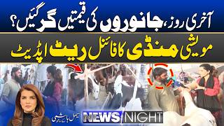 Last Day Cattle Market Update: Are Prices Finally Down? | 26 May 2026 | News Night
