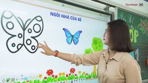 IFP33 Series: Khám Phá Công Nghệ Màn Hình Tương Tác Thông Minh ViewSonic Thế Hệ Tiếp Theo