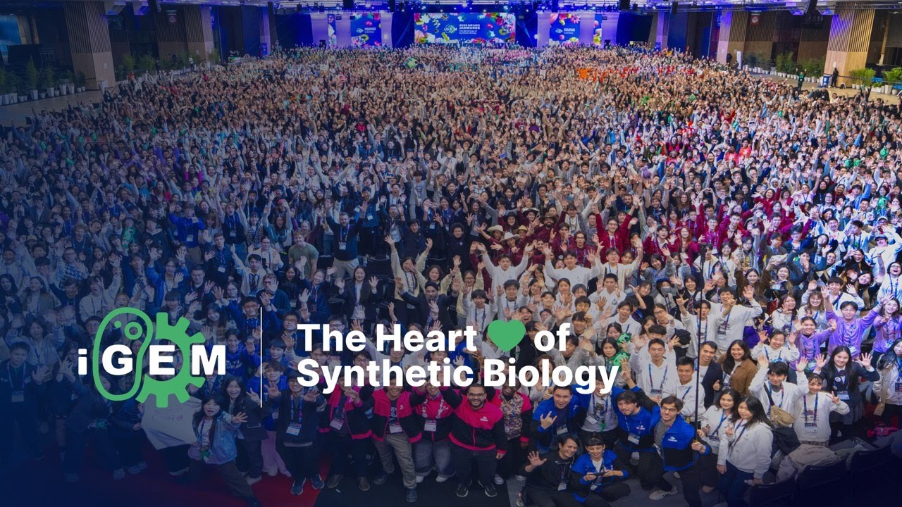 iGEM ​​| Сердце синтетической биологии