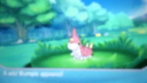 Shiny Map Quest Ep 1 Zigzagoon (route 101)