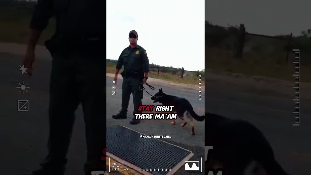 Refusing To Answer At Border Patrol Checkpoint Are You Required Say Re A US Citizen 
