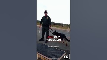 Refusing to Answer at Border Patrol Checkpoint | Are You Required to Say You