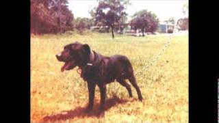 The Product Go Live Unforgiven,Nugget,Ice Water Slaugher,Lunatic